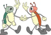 Media Image