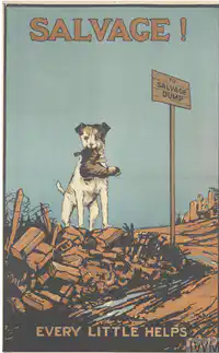 Media Image