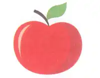 Media Image