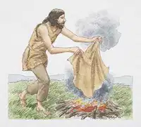 Media Image
