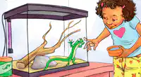 Media Image