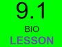 9.1 LESSON Energy of Life