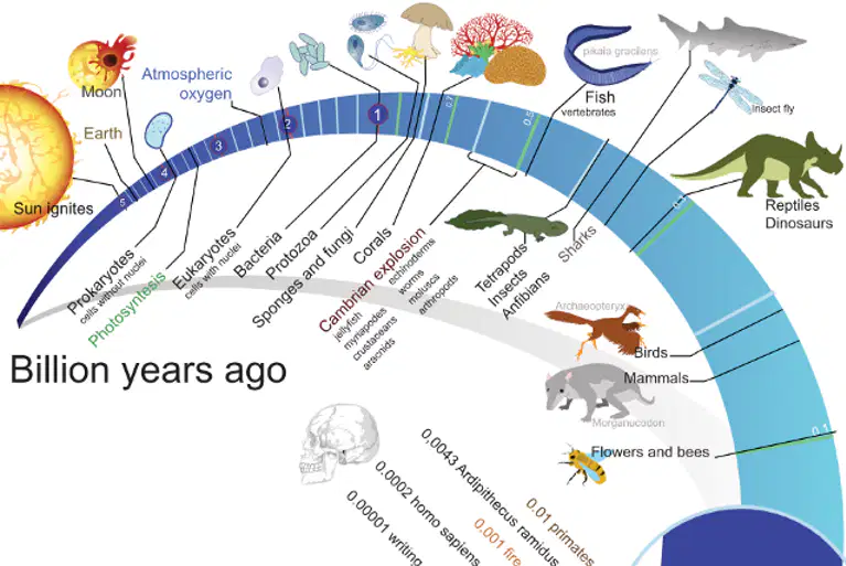 Evolutionary History- chapter 15
