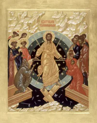 Media Image