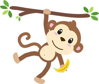 Media Image