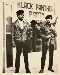 Media Image
