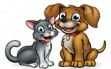 Media Image