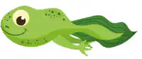 Media Image
