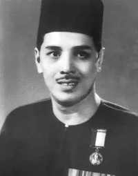 Media Image