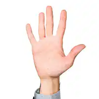 Media Image