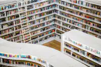 media