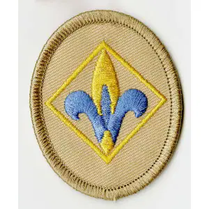 Media Image