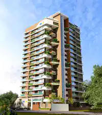 Media Image
