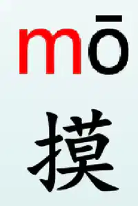 Media Image