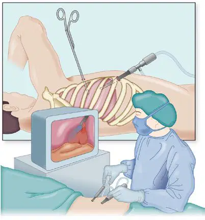 media image