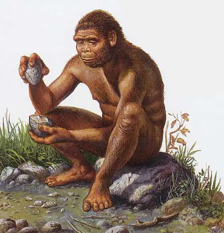 Media Image