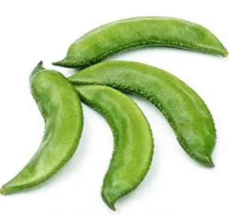 Media Image