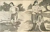 Media Image