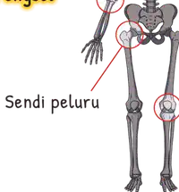Media Image