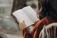 media