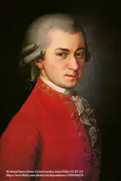 Media Image