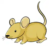 Media Image