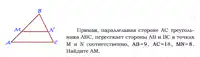Media Image