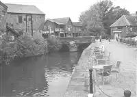 Media Image