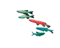 media