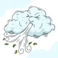 Media Image