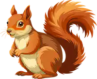Media Image