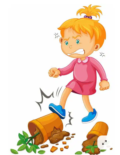 Media Image
