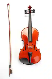 Media Image