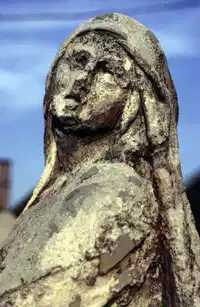 Media Image