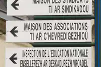Media Image