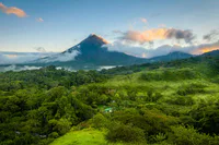 Media Image