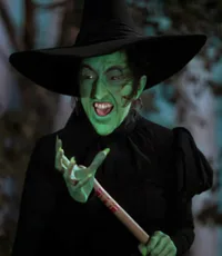 Media Image