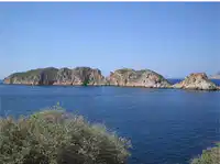 Media Image