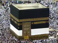 Media Image
