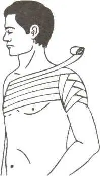 Media Image