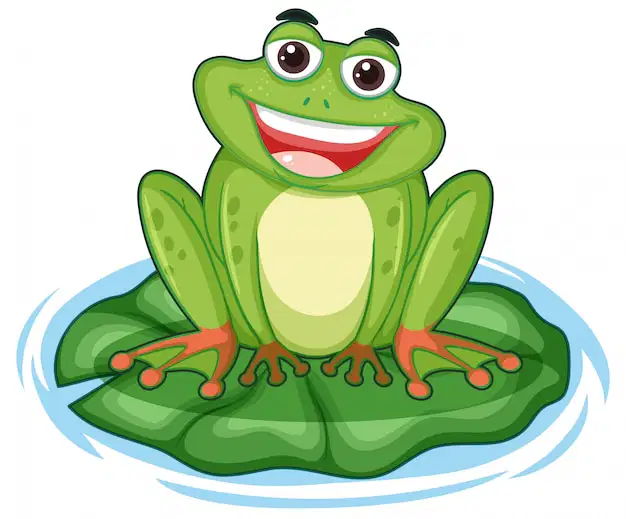 Media Image