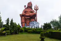 Media Image