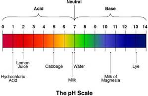 What is the pH level of hydrochloric acid?
