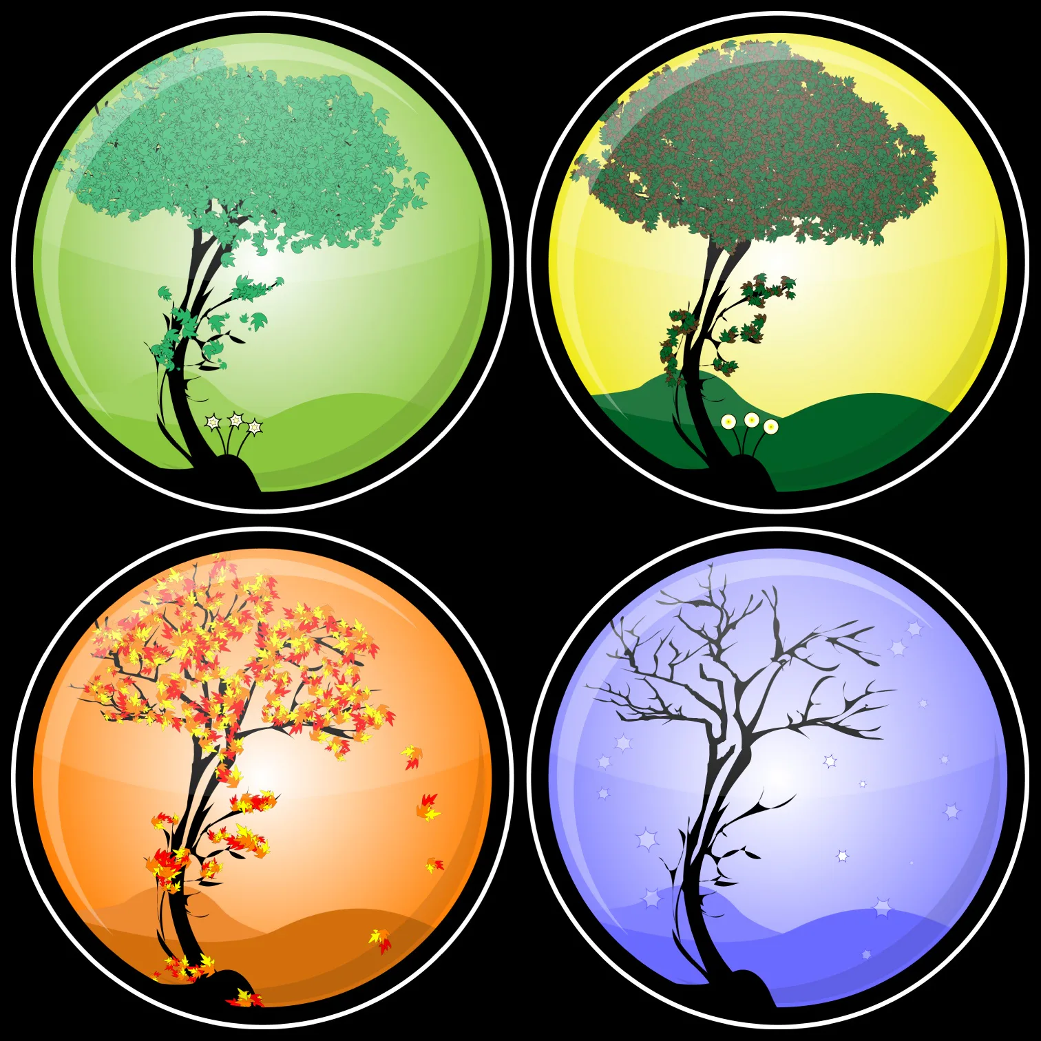 Astronomy Seasons, Moon phases Quiz Quizizz