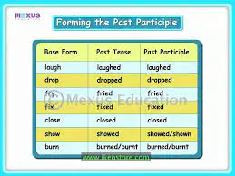 Past Participle Verb 2 Grammar Quiz Quizizz
