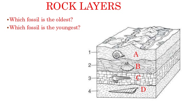 Oldest layers rock to youngest Rock Layers: